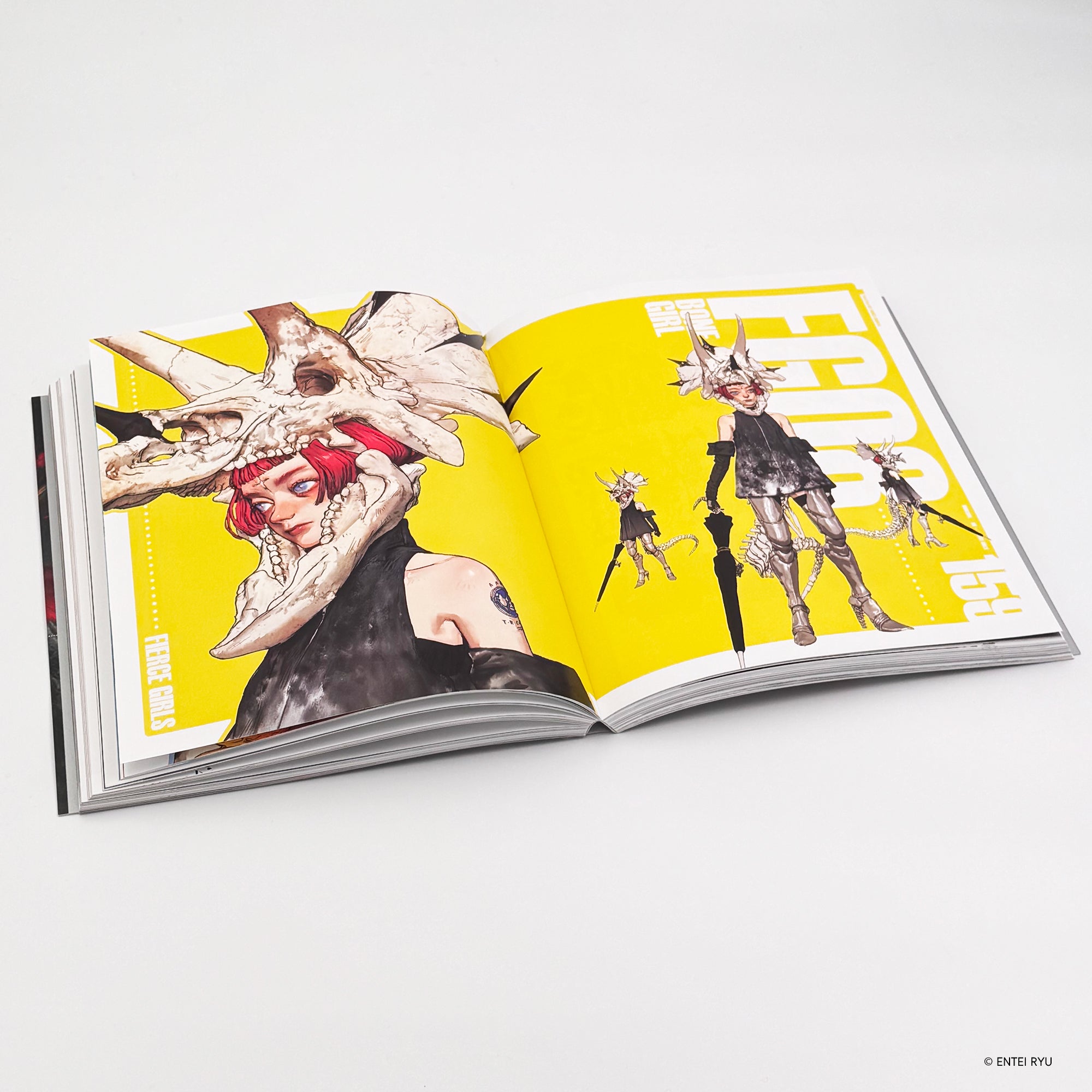 ENTEIRYU ARTWORKS CHIMERA – Collector Edition + Bonus Blind Bag Acrylic Card Whole Box