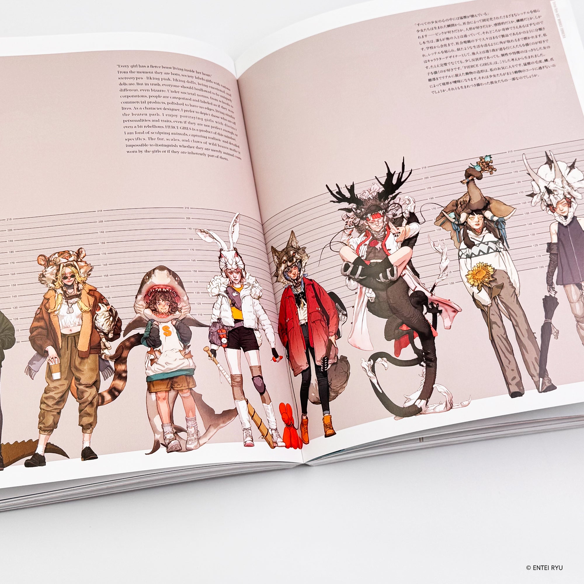 ENTEIRYU ARTWORKS CHIMERA – Collector Edition + Bonus Blind Bag Acrylic Card Whole Box