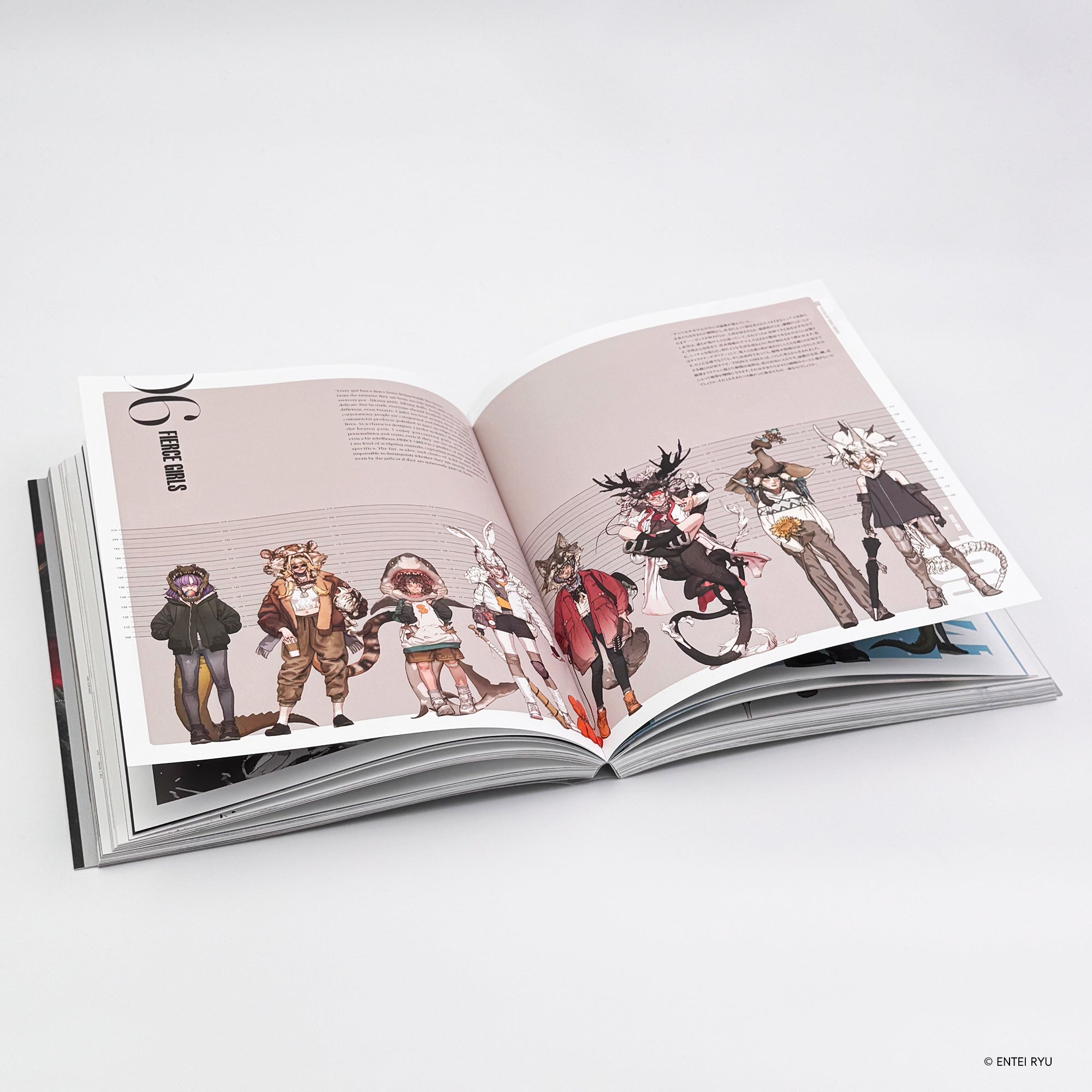 ENTEIRYU ARTWORKS CHIMERA – Collector Edition + Bonus Blind Bag Acrylic Card Whole Box